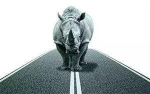 臣通觀點丨小心，中國產(chǎn)業(yè)園區(qū)的“灰犀牛”又來了！